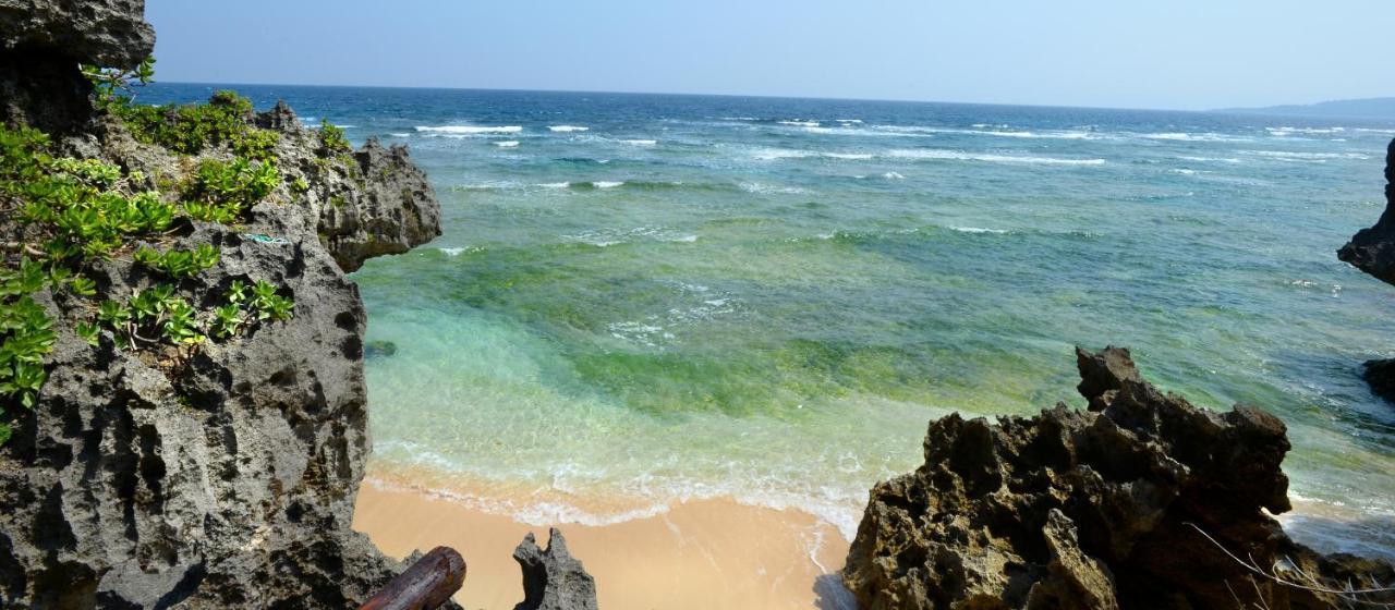 فيلا Wisteria Ocean ناكيجين المظهر الخارجي الصورة